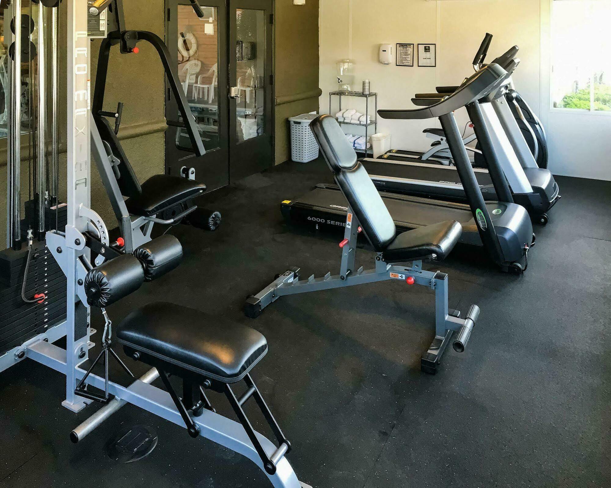 Comfort Inn & Suites Murrieta Temecula Wine Country Εξωτερικό φωτογραφία